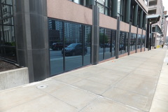 Geothlypis philadelphia