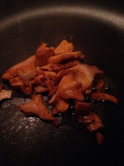 Cantharellus roseocanus