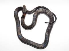 Erythrolamprus epinephalus pseudocobella