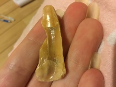 Austromegabalanus nigrescens