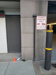 Leiothlypis peregrina