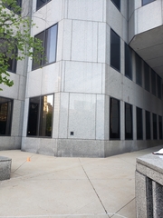 Leiothlypis peregrina