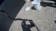 Dispholidus typus typus