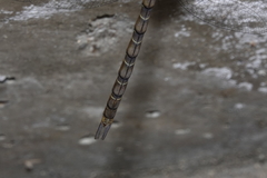 Gynacantha nourlangie