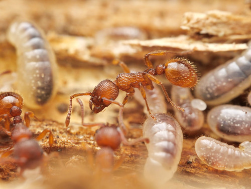 no rights reserved, uploaded by Philipp Hoenle