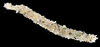 Owenia johnsoni - Photo (c) smithsonian_marinegeo, some rights reserved (CC BY-NC-SA), uploaded by smithsonian_marinegeo