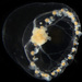 Proboscidactyla flavicirrata - Photo (c) smithsonian_marinegeo,  זכויות יוצרים חלקיות (CC BY-NC-SA), הועלה על ידי smithsonian_marinegeo