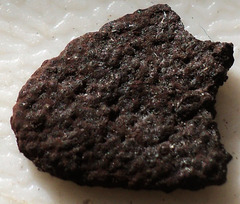 Annulohypoxylon atroroseum