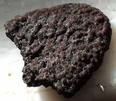 Annulohypoxylon atroroseum