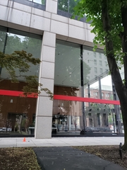 Setophaga pensylvanica