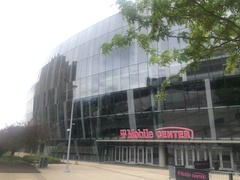 Geothlypis philadelphia