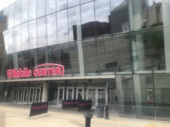 Leiothlypis peregrina