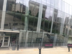 Leiothlypis peregrina