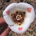 Butterfly Mariposa Lily - Photo (c) Denise Wight, some rights reserved (CC BY-NC), uploaded by Denise Wight