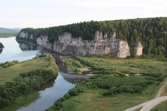 Astragalus permiensis