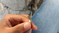 Salvadora intermedia