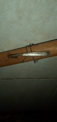 Vatinae