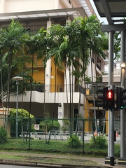 Areca