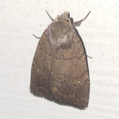 Athetiina