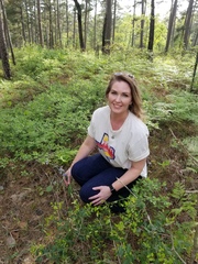 Sisyrinchium elizabethiae