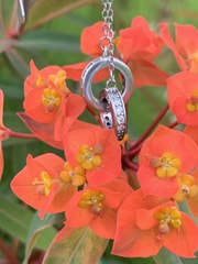 Euphorbia griffithii