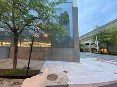 Dumetella carolinensis