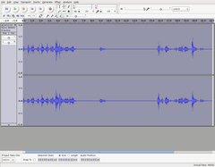 Chrysococcyx lucidus lucidus