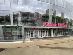 Dumetella carolinensis