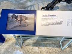 Acrocanthosaurus atokensis