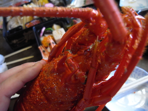 Lobster (Japan Import) - Approx 40cm Body Size, Stuffed Animal Or Figure