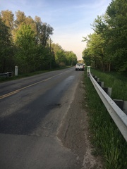 Emydoidea blandingii