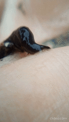 Cerebratulus macrostomus