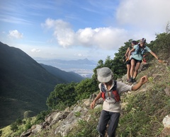 Neolucanus sinicus championi