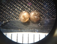 Euconulus
