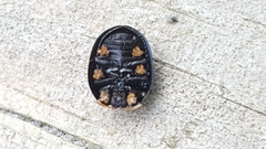 Hemisphaerota cyanea