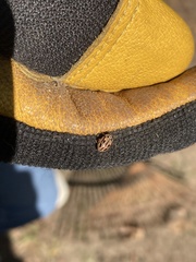 Mulsantina hudsonica
