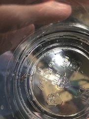 Araneae