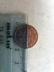 Carex divulsa divulsa