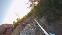 Dispholidus typus typus