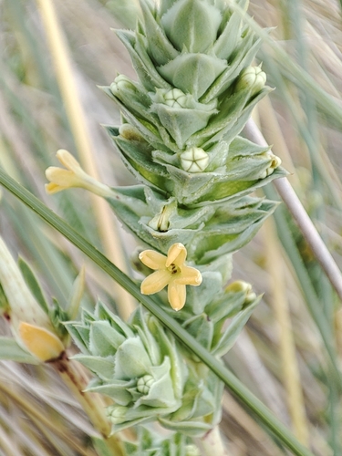 Maritime Crosswort