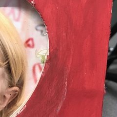 Misumessus dicaprioi