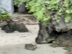 Collocalia marginata