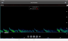 Austronomus australis