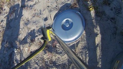 Dispholidus typus typus