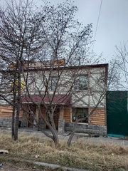 Alnus alnobetula fruticosa