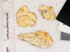 Pseudospongipellis delectans