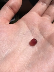 Coprosma atropurpurea