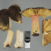 Russula tricholomopsis - Photo (c) Jerry Cooper, some rights reserved (CC BY), uploaded by Jerry Cooper