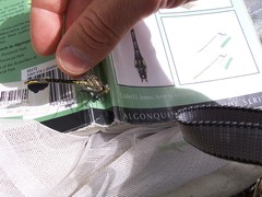 Phanogomphus borealis