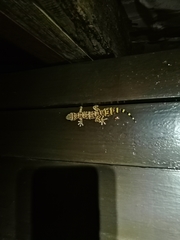 Afroedura hawequensis
